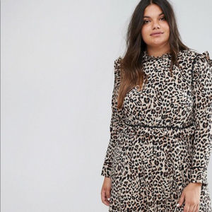 ASOS curve animal print!!